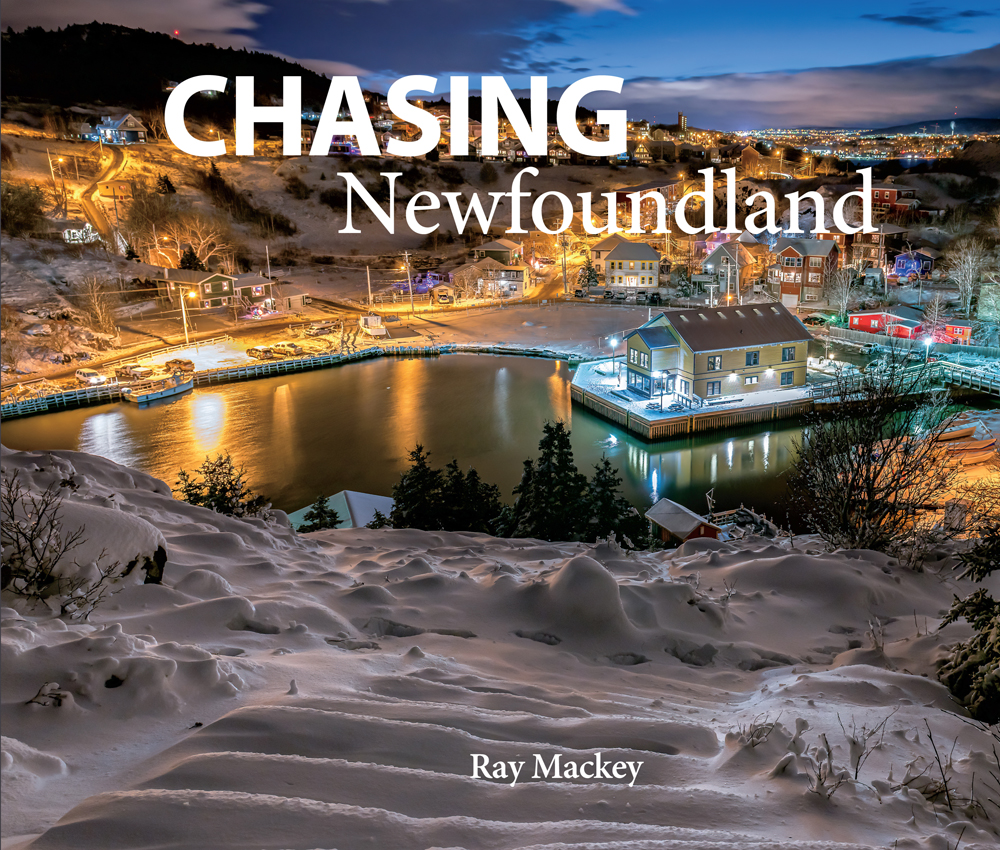Chasing Nefoundland Front Cover SM